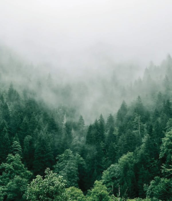 Industry, Innovation, and Infrastructure image